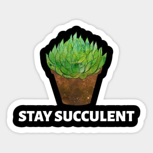 Stay Succulent Sticker